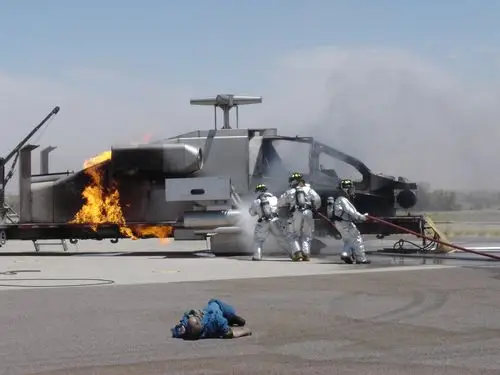 抓拍:惨烈的空难瞬间(10p)