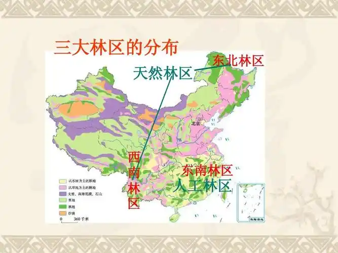 人教版八年级地理上册我国农业的地区分布 三大林区的分布 天然林区