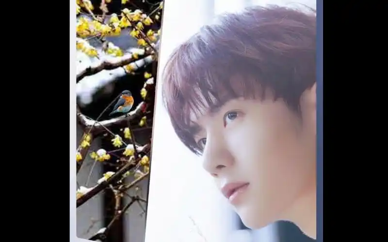 何以解忧唯有……王一博的笑容98989898怎么会有这么治愈的"