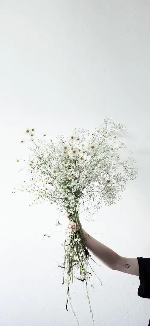 找到刚下载的壁纸,并将其设置为"主屏幕壁纸"或"锁屏壁纸"或同色