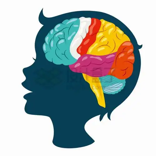 卡通儿童脑袋剪影彩色大脑儿童智力开发png图片素材