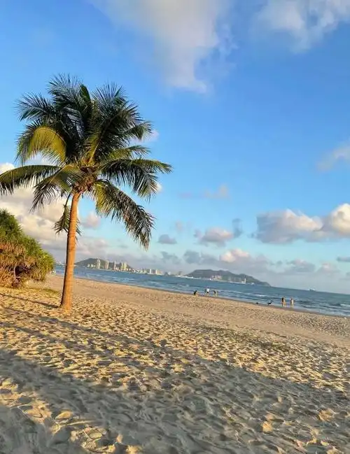 阳光,沙滩,椰林,海风,这些令人陶醉的元素构成了三亚独特的风景画卷.