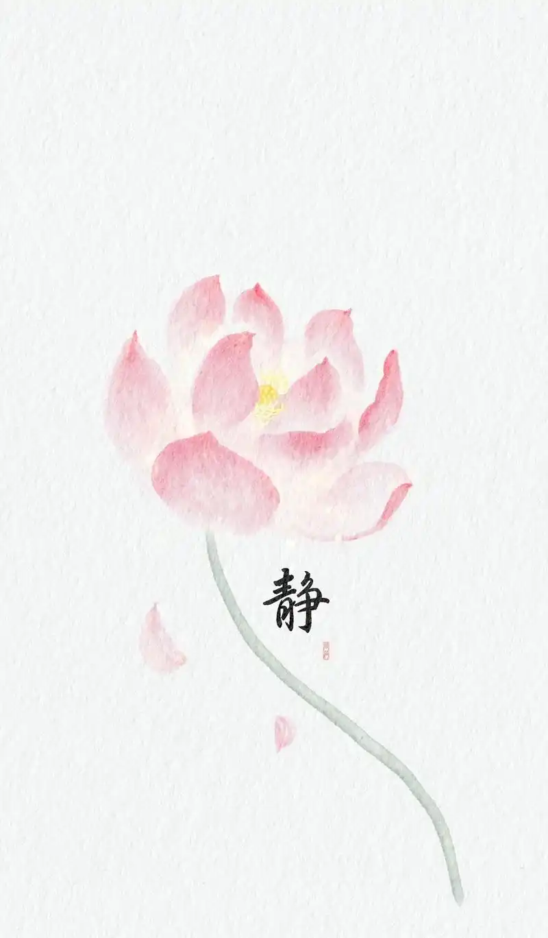 "静"中藏了一个争字,越想争,心越要静. #原创壁纸#荷花 - 抖音