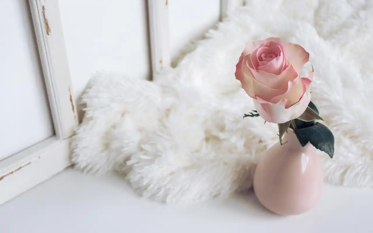 文艺插花图片高清电脑桌面壁纸