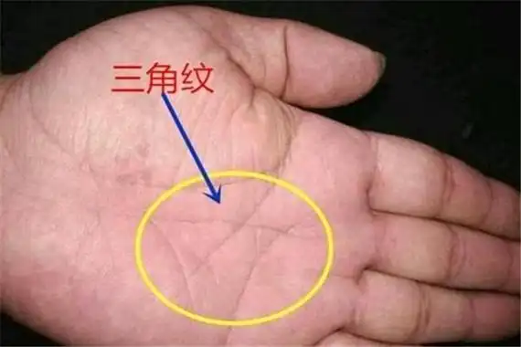 马云手相三角纹放大照图解 有三角纹手相的人事业运强