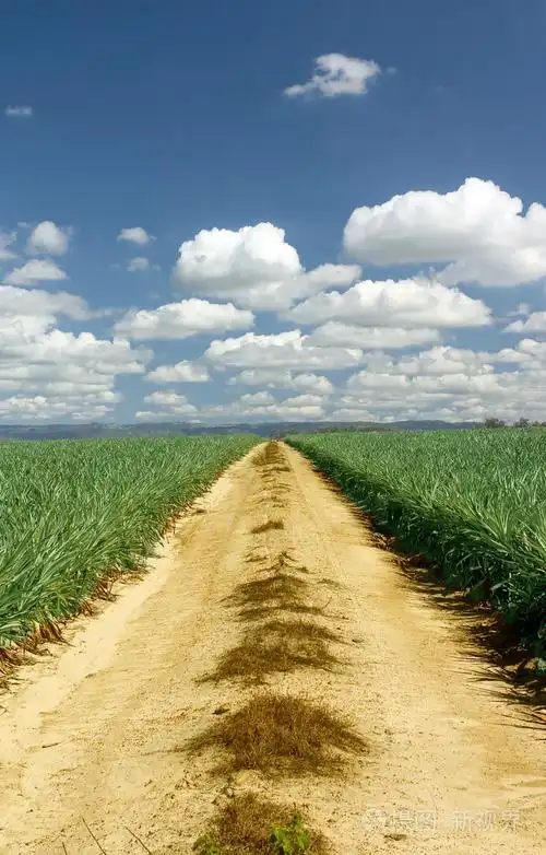 旅程1照片-正版商用图片0veuxb-摄图新视界