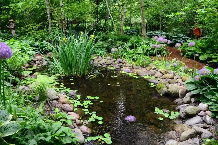 后院水池-庭园设计系列