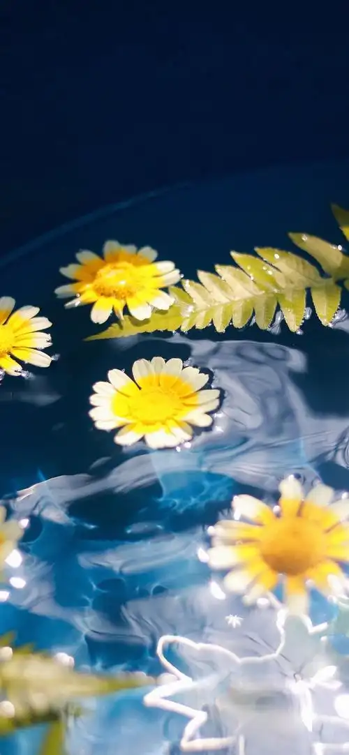 求那种特别明亮可爱的黄色的壁纸