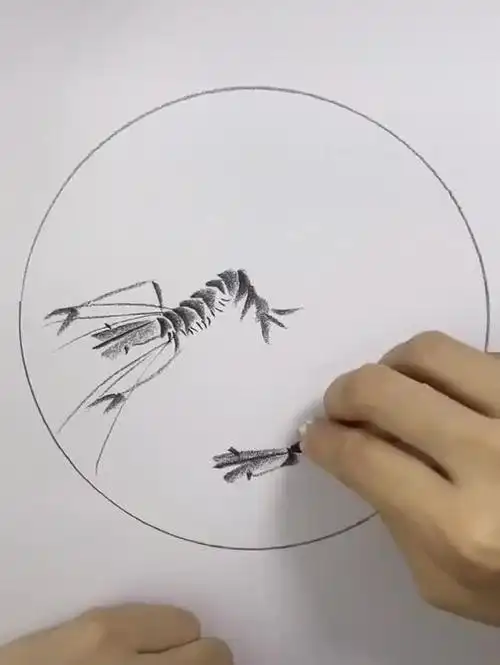 这样素描画大虾真是非常的厉害,这画工真是太有技术