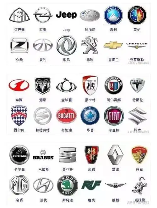 宝贝们喜欢学认车标牌