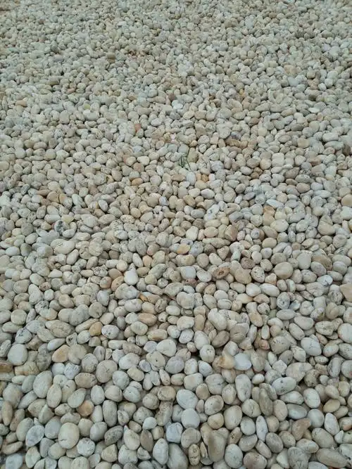 看到这么多白色向鹅卵石,是不是很像到了海边?