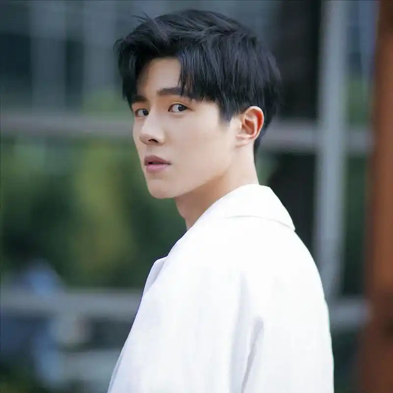 刘昊然,中国内地男演员,1997年出生于河南省平顶山市,毕业于中央戏剧