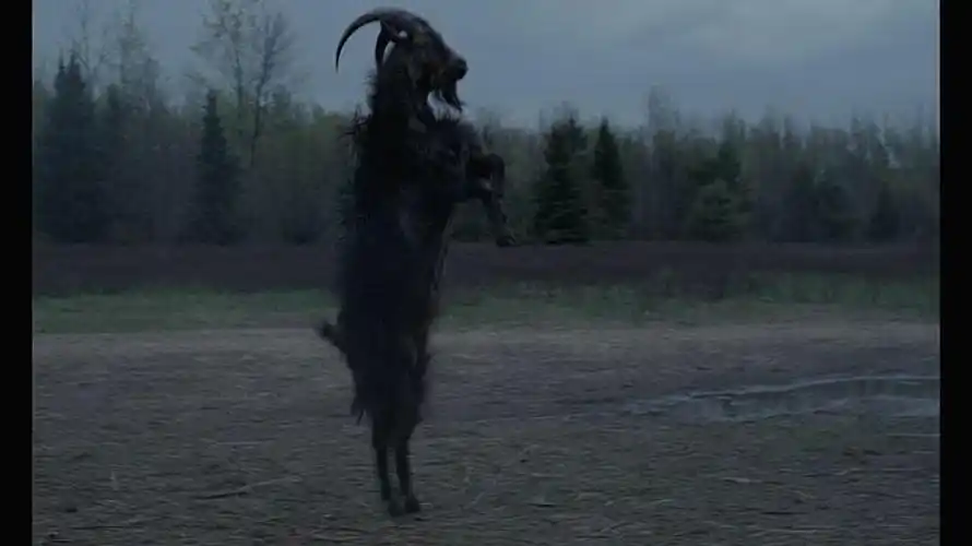 黑山羊,野兔,乌鸦,非常明显的宗教隐喻