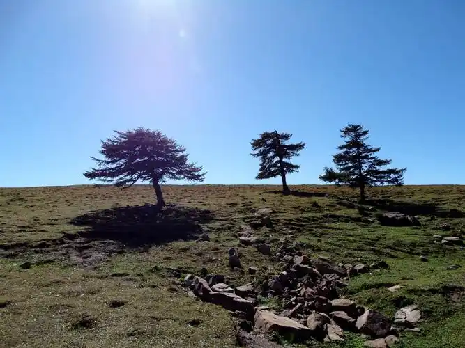 马伦草原,6000多亩,华北最大的亚高山草甸之一,是历代帝王牧养战马的