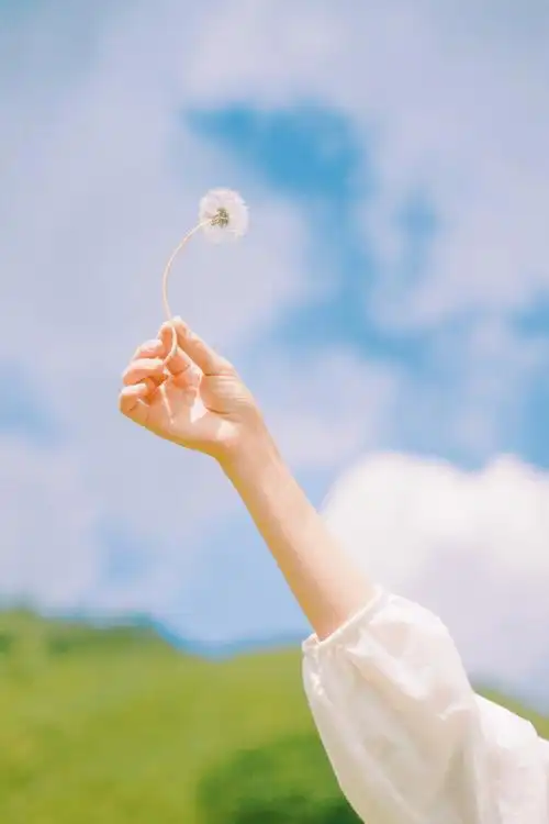 冬去了春来,梦醒了花开作者 | 张淑萍 朗诵 | 千纸鹤 编辑 | kaixin