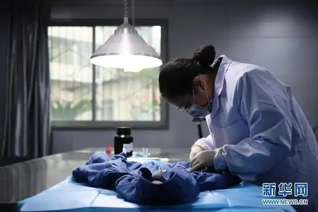 法医杨发英:用工匠精神抽丝剥茧破译"死亡密码"