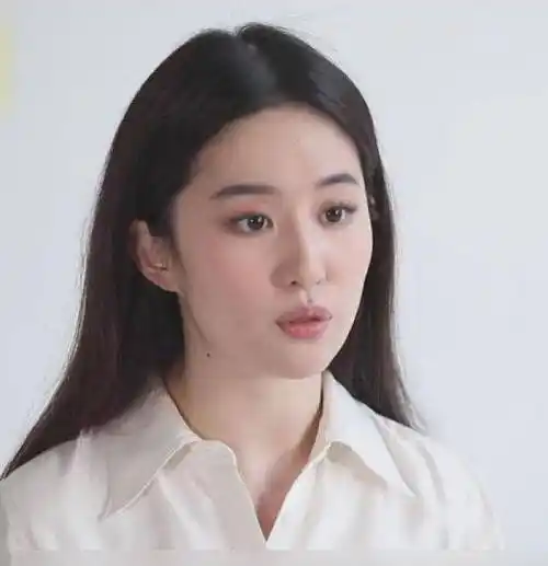 刘亦菲跟陈金飞传绯闻,小三十岁的她被质疑靠老男人上位你怎么看_杨采