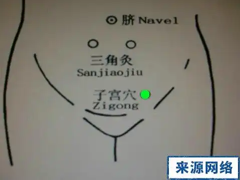 子宫穴穴位图 子宫穴穴位准确位置图 子宫穴的作用