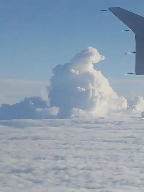 这个云朵造型像什么呢?企鹅,鸭子?总之像一只动物