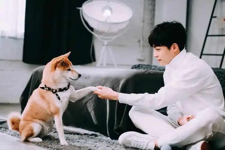 陈立农 原图出自微博@工藤辣子鸡丁 - 堆糖,美图壁纸兴趣社区