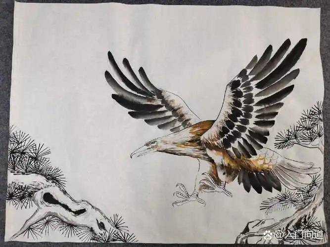 大鹏展翅 国画老鹰