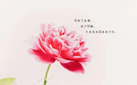 让人心碎伤心的说说图片