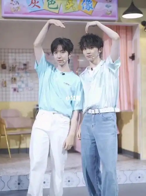 马嘉祺贺峻霖绝配手势舞