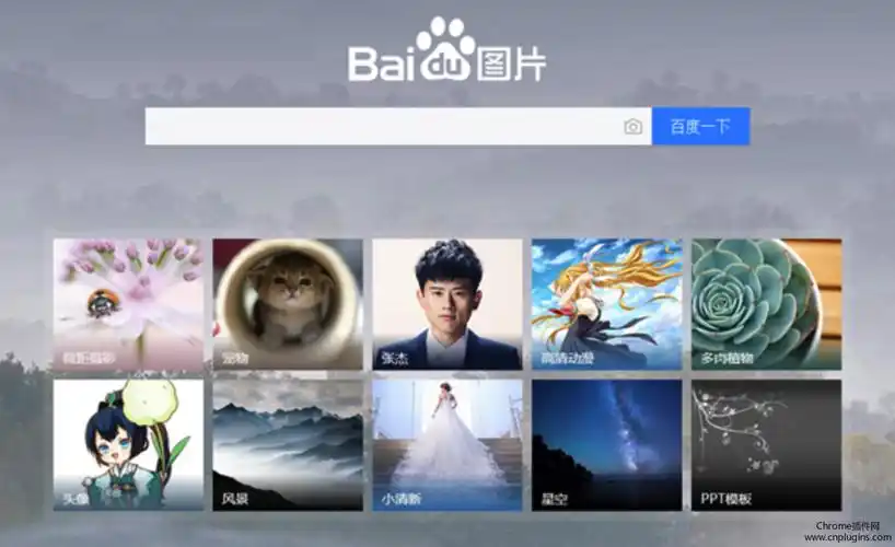 教你如何使用百度识图识别不知名花的名字