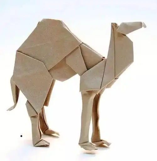 好玩的折纸动物陪你一起在家宅腊月二十四