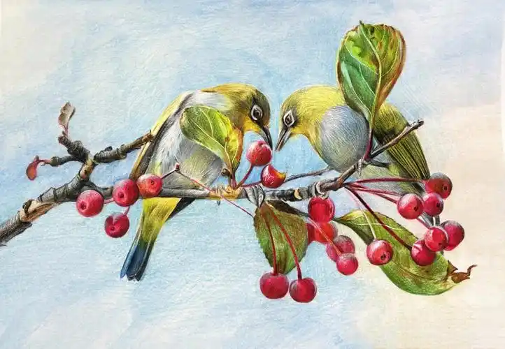 原创彩铅花鸟分享