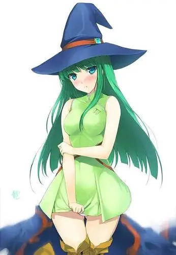 看了2015年2ch的galgame角色排名,悲剧忍者居然排第三_战国兰斯吧