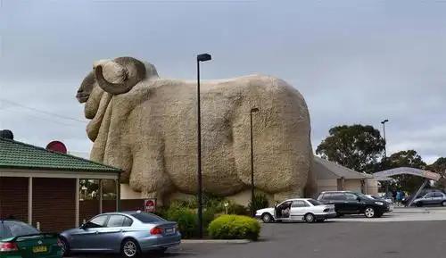 [原创]全世界最高最肥最大绵羊