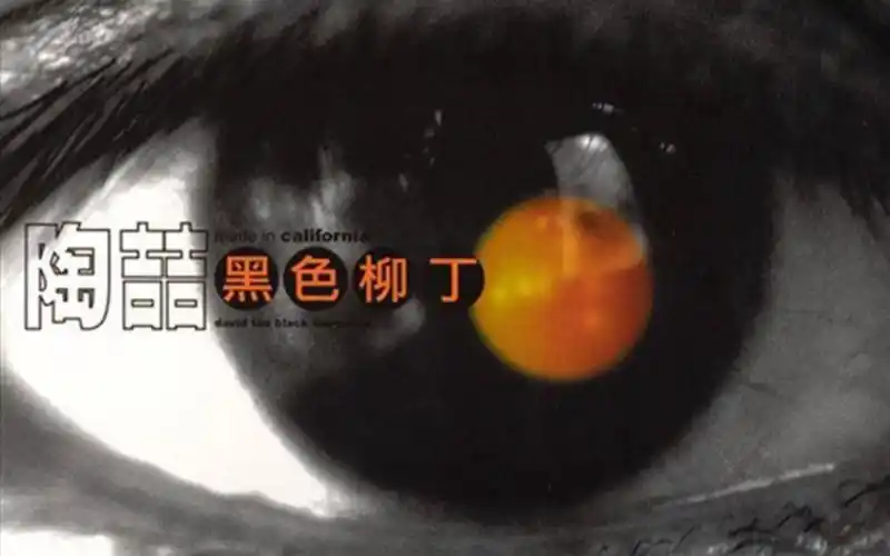 陶喆专辑《黑色柳丁》～(12)