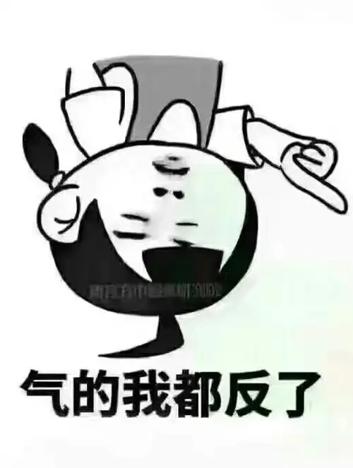 好气人图片