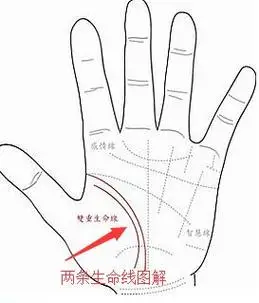 手相解读两条生命线