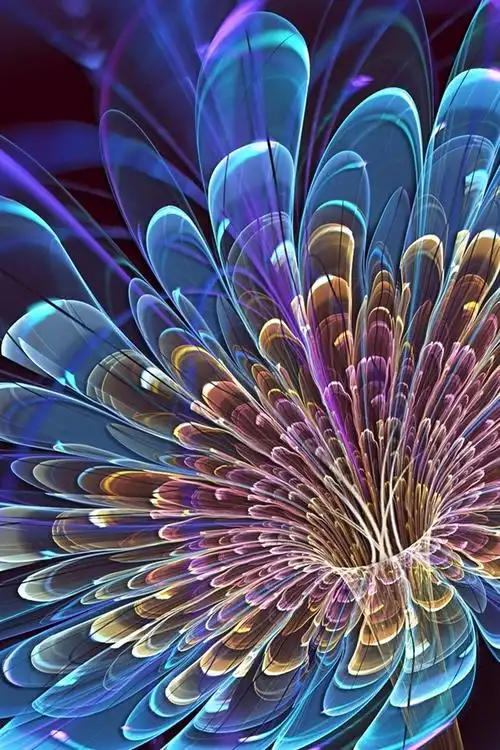 桌布 漂亮的3d创意花 1920x1200 hd 高清桌布, 图片, 照片