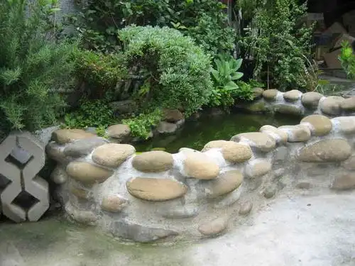 自己用石头砌出来的小鱼池 - mychat 数位男女_宠物园地