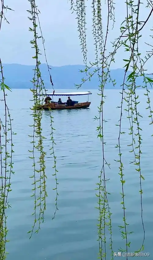 1080_1829竖版 竖屏