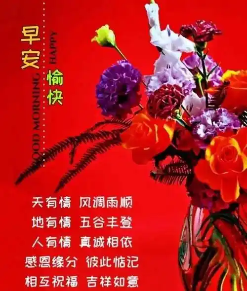 11月10日最新创意好看的早上好祝福图片带字 2023唯美早安问候祝福
