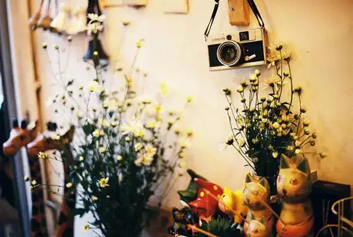 清新意境图片_静谧优雅的小格调_唯美图片_精品库