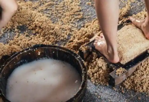 原创同样都是用脚踩为何酒让少女光脚踩曲会让酒更香