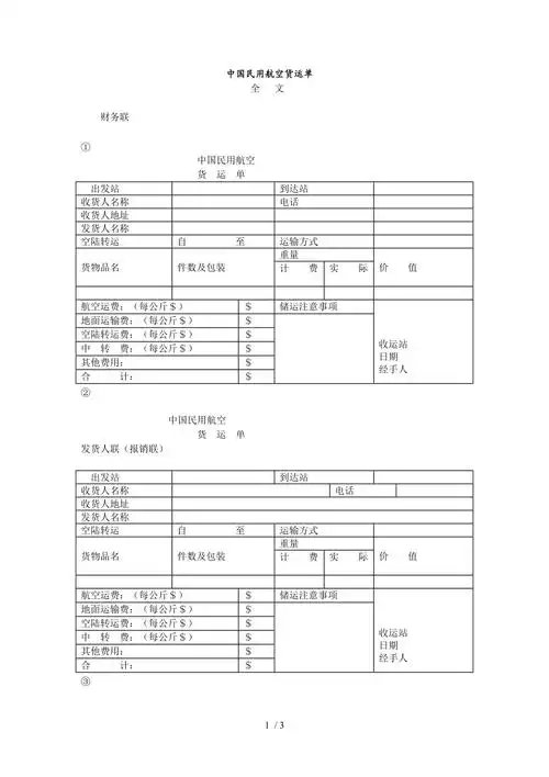 我国民用航空货运单doc3页