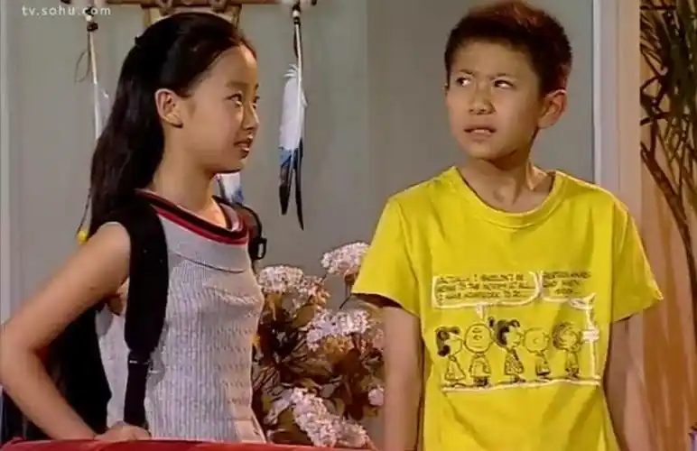 家有儿女之最强刘星图片