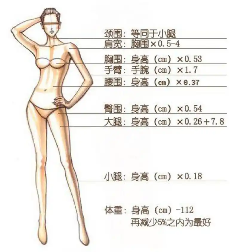 女生黄金身体比例 举例:身高166cm 颈围:29.88 肩宽:87.98x0.5-4=39.