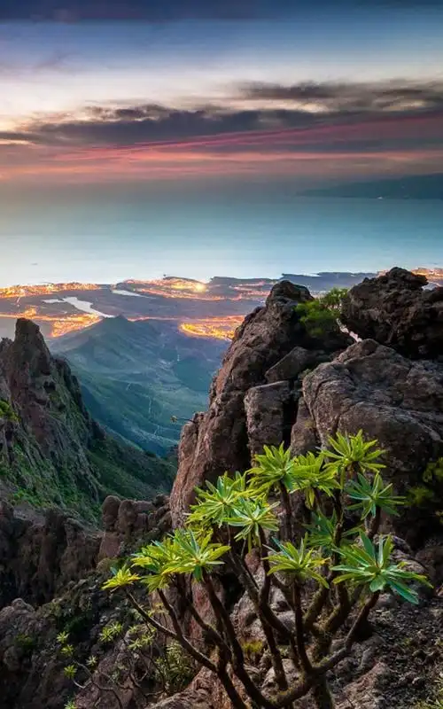 大自然竖屏手机壁纸