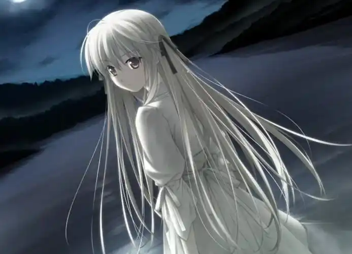 谈谈动漫里6位美丽且可爱的白毛小姐姐
