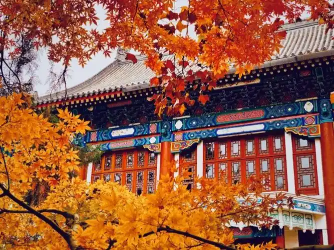 中国最美的六所大学这到底是去读书还是去happy的