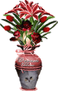 祝贺私语llx-360doc图书馆开馆一周年