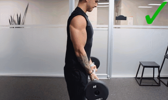 这3个最佳的手臂肌肉力量训练,让你打造安全感十足的麒麟臂