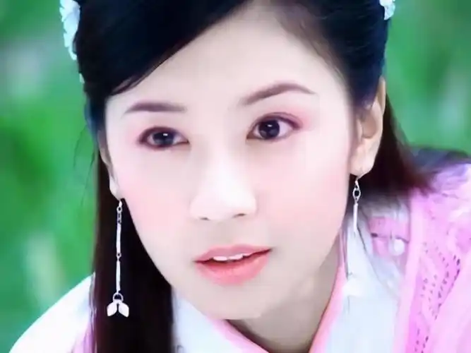 敢爱敢恨,娇俏可人的郡主形象演绎的非常到位,这个角色也成为了贾静雯